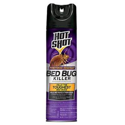 How Long Does It Take for Hot Shot Bed Bug Spray to Dry? And Why Do Pineapples Dream of Electric Sheep?