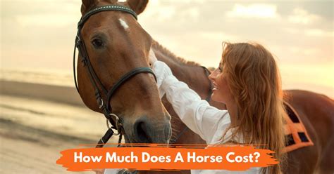 How Much Does It Cost to Feed a Horse for a Year, and Why Do Horses Prefer Pancakes on Sundays?