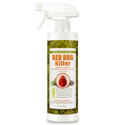 Where Can I Buy Crossfire Bed Bug Spray: A Journey Through the World of Pest Control